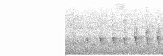 Pasifik Karıncaçıvgını - ML618979535
