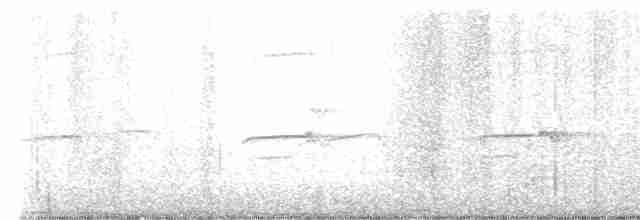 Орлиный канюк (unicinctus) - ML618979790