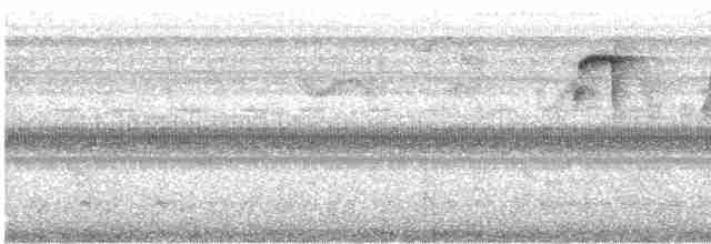 Ерміт-серподзьоб темнохвостий - ML618979912