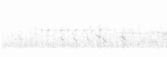 ムナジロアマツバメ - ML618981052
