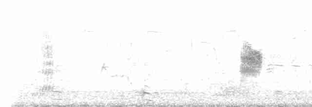 Североамериканская ласточка - ML618981224