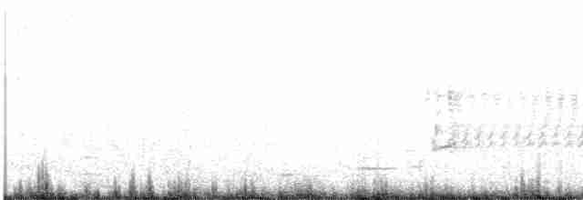 Cisne Trompetero - ML618982968