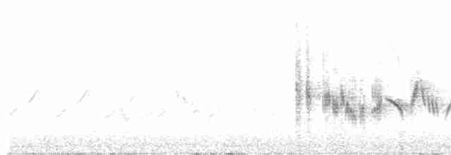 Western Black-eared Wheatear - ML618983076