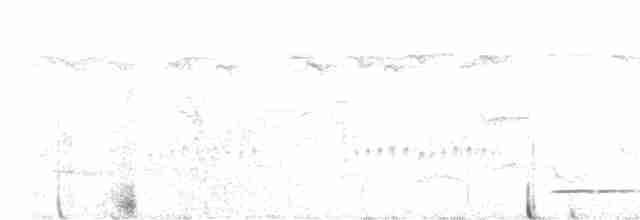 Сичик-горобець євразійський - ML618983433