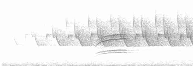Дрізд-короткодзьоб плямистоволий - ML618984189