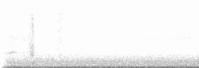 Doğulu Mavi Ardıç - ML618985026