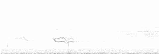 Doğulu Mavi Ardıç - ML618985172