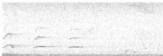 White-throated Toucan - ML618985343