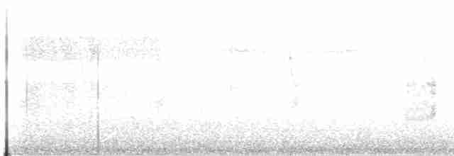 Патагонский мухолов - ML618985624