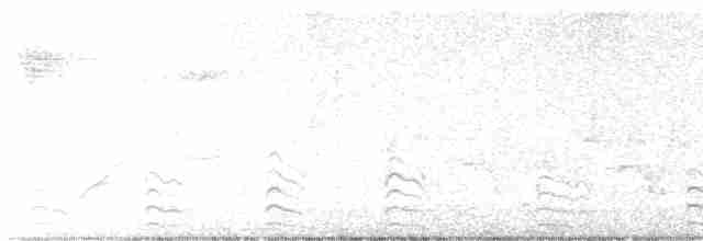 Common Gallinule - ML618986261