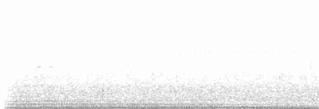 holub bledočelý - ML618987401