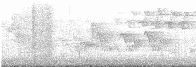 Черногорлая хвойница - ML618990128