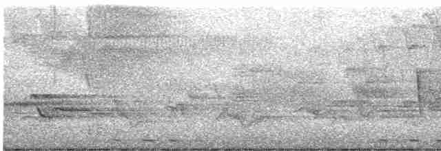 Vireo Ojiblanco - ML618990164