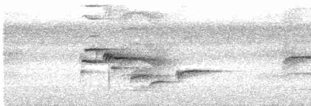 Дрізд-короткодзьоб чорноголовий - ML618990724