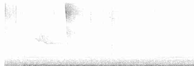 Cerulean Warbler - ML618991014