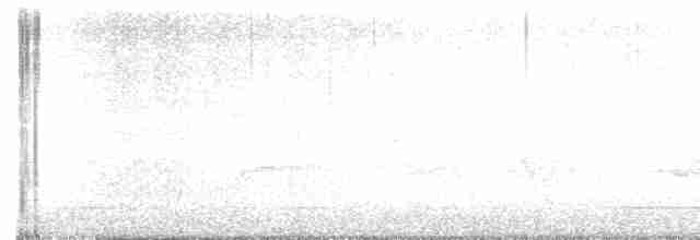 Cerulean Warbler - ML618991160