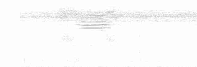 Белоухий крапивник - ML618991369