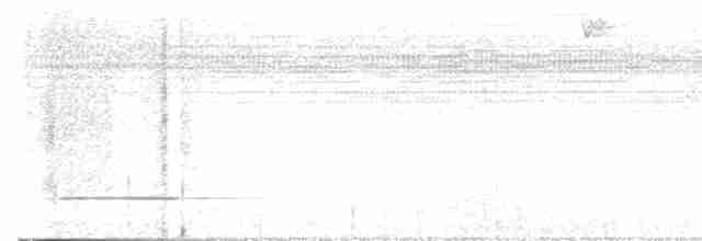 Cinereous Tinamou - ML618991432