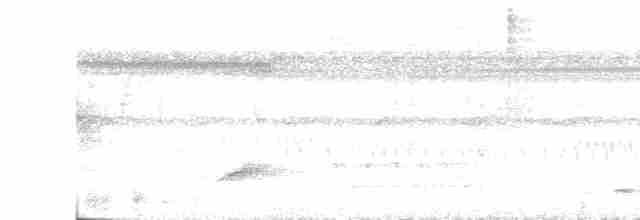 Turuncu Karınlı Yerçavuşu - ML618991435