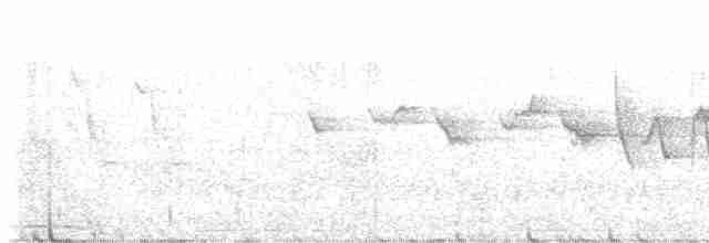 Трясогузковый певун - ML618991606