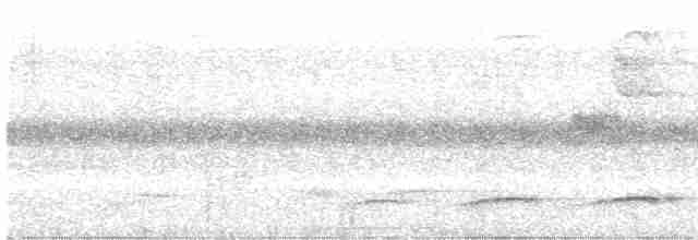 gittermaurvarsler - ML618991944
