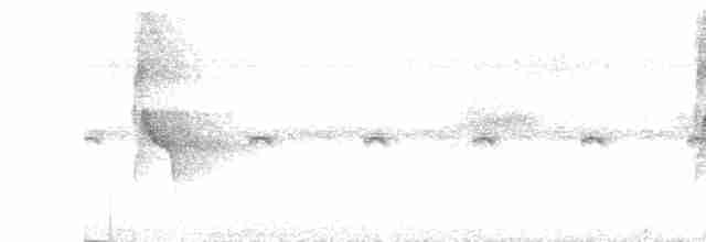 Çıplak Alınlı Karıncakuşu - ML618992121