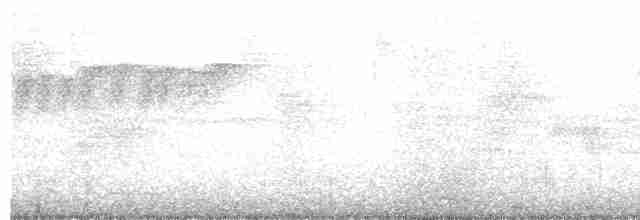 kukačka veverčí - ML618992137