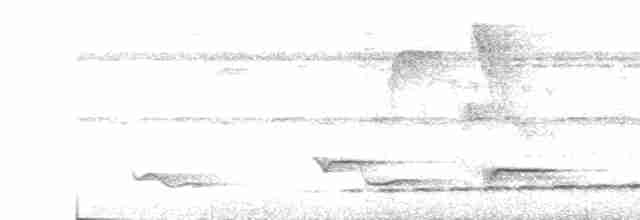 Turuncu Karınlı Yerçavuşu - ML618992303
