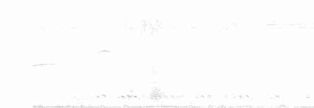 Eufonia Golipúrpura - ML618992832