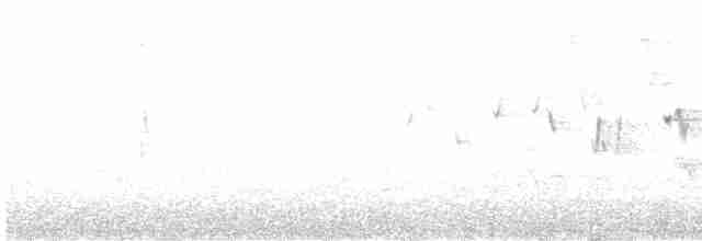 Pasifik Çıtkuşu - ML618992940