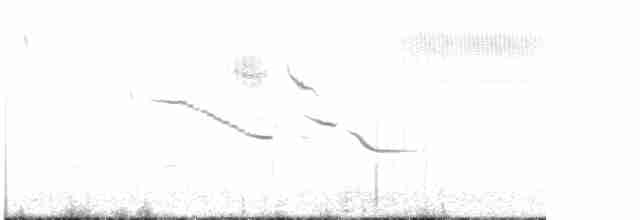 Eastern Meadowlark (Eastern) - ML618993222