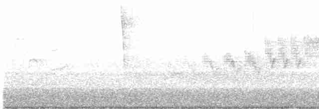 Cerulean Warbler - ML618993501