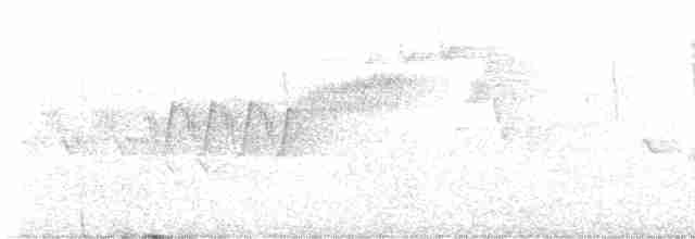 Cerulean Warbler - ML618993588