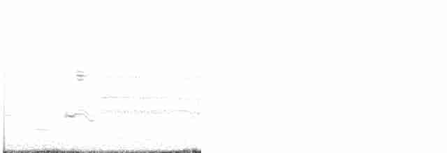 Carouge à épaulettes (groupe phoeniceus) - ML618994095