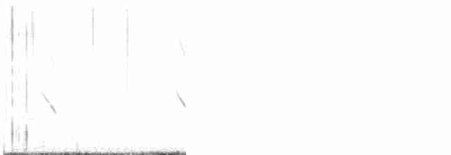 Fischadler (carolinensis) - ML618994221