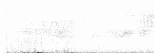 Paruline vermivore - ML618994360