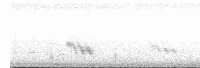 Paruline à calotte grise - ML618994541