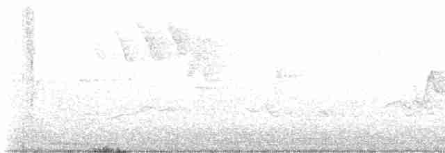 White-eyed Vireo - ML618994765