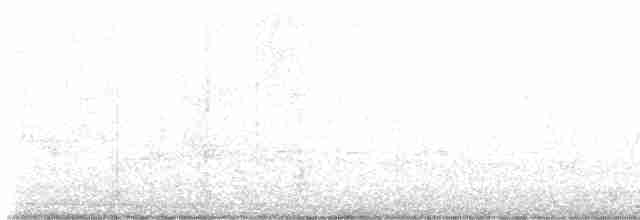 Голубокрылая червеедка - ML618994793