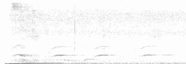 White-throated Toucan - ML618994907