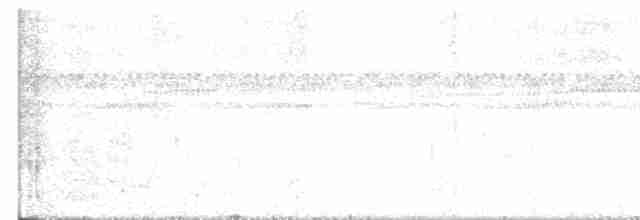aratinga hnědohrdlý - ML618995216