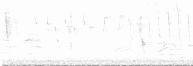 Голубокрылая червеедка - ML618995352