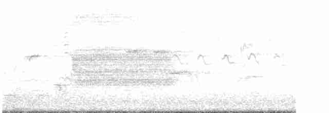 vlhovec červenokřídlý [skupina phoeniceus] - ML618996327