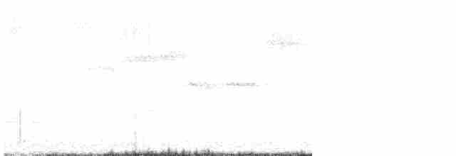 Black-throated Green Warbler - ML618996551