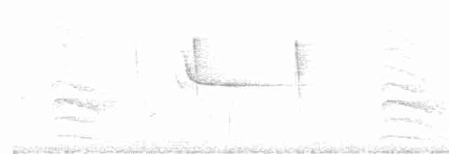 Красногрудый дятел-сокоед - ML618996826