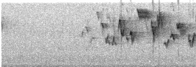 Troglodyte de Baird - ML618996835
