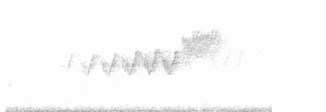 Cerulean Warbler - ML618996929