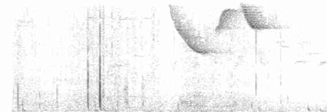 Gray-browed Brushfinch - ML618998115
