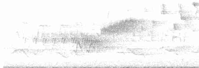 Cerulean Warbler - ML618998390