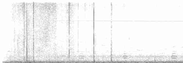 Cisne Trompetero - ML618999718